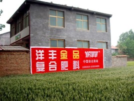 贵溪如何让墙体广告展现最大化效果