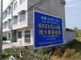 贵溪墙体广告质量分析