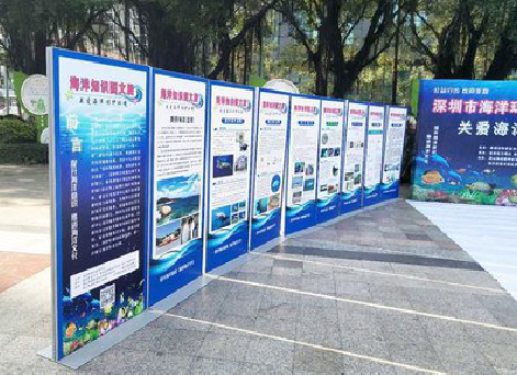 贵溪KT板的种类和知识。